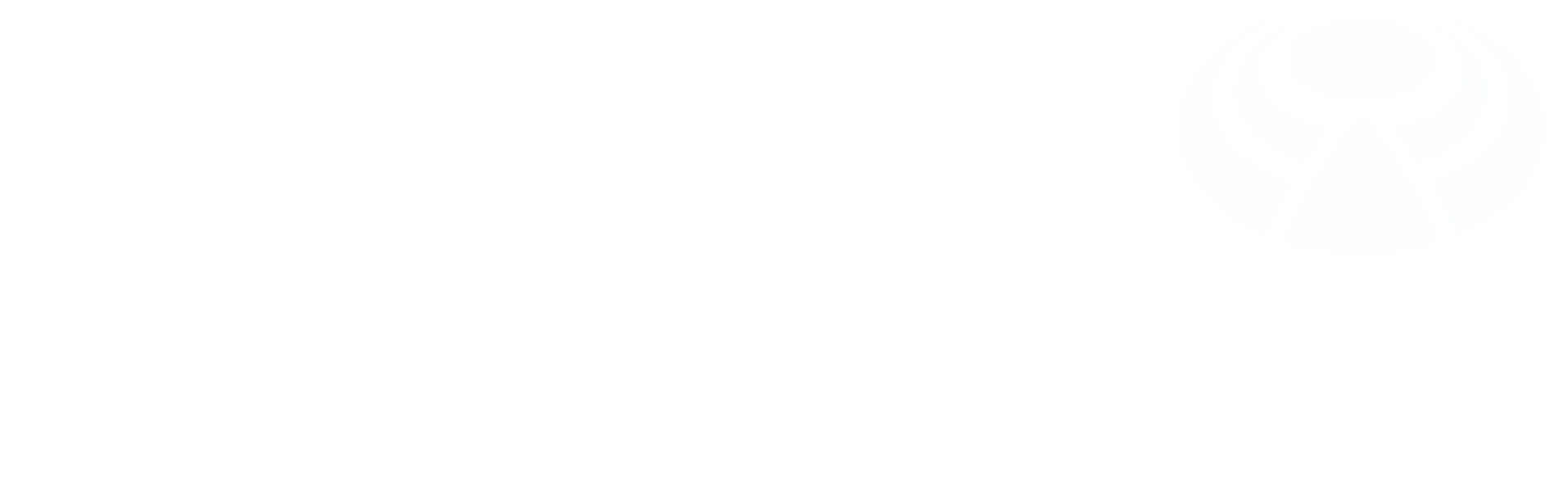 The Business Generation Group